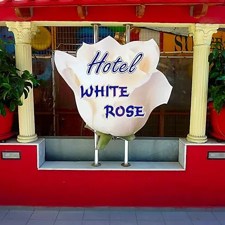 White Rose *